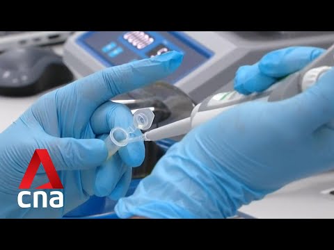 Labcorp Bala