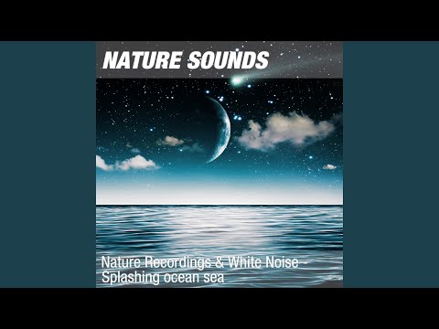 Nature Sounds for Studying, Working & Concentration (Soothing ocean noise) 16