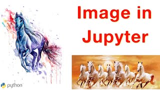 Insert - View Image in Jupyter Notebook || Python