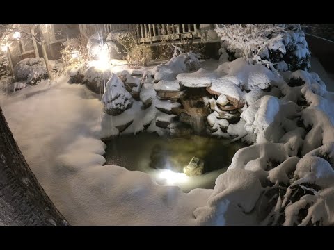 2021 Snow Storm Timelapse - Castle Rock CO