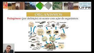 Fatores de Formação do Solo