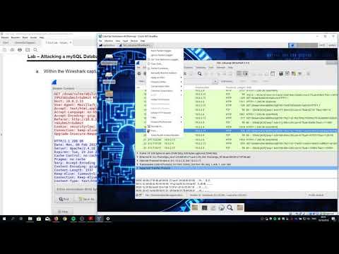 7.3.2.4 Lab - Attacking a mySQL Database