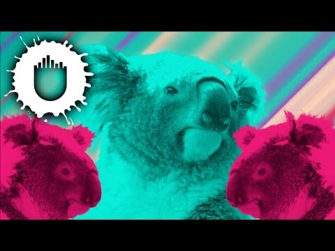 Pink Is Punk - Koala (Official Video)