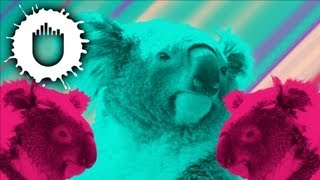 Pink Is Punk - Koala (Official Video)