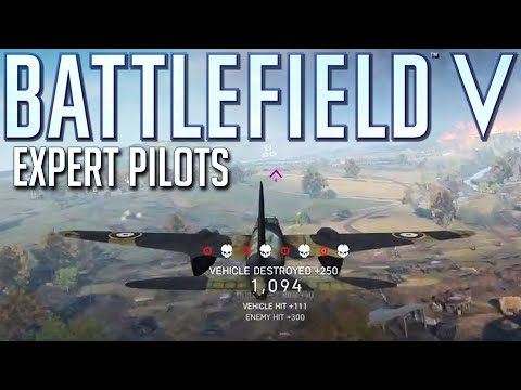 These Battlefield 5 pilots are on another level...