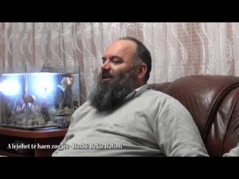 A lejohet të haen zogjët - Hoxhë Bekir Halimi