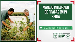 Manejo integrado de pragas (MIP) — Soja