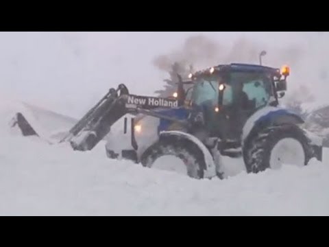 Snow and strong winds hit France