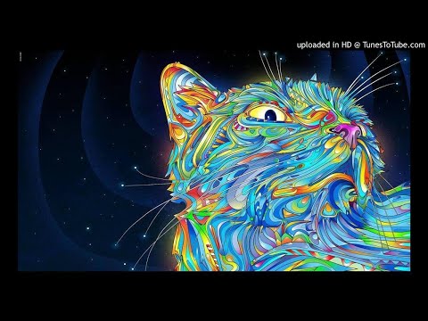 Psylence Mind (Feat Unusual Dream)  -  You Can Not Make A Person Happy