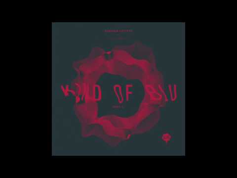 EUPHORICS - SYNCOPA - KIND OF BLU PT 2 (DIGIBLUS040LP)