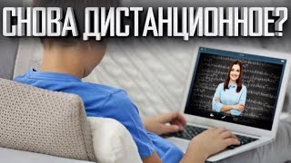 НАКОНЕЦ НАС ЗАКРЫЛИ,ДОЖДАЛИСЬ / ДИСТАНЦИОННОЕ ОБУЧЕНИЕ / ИНФОРМАЦИЯ О ДИСТАНТЕ
