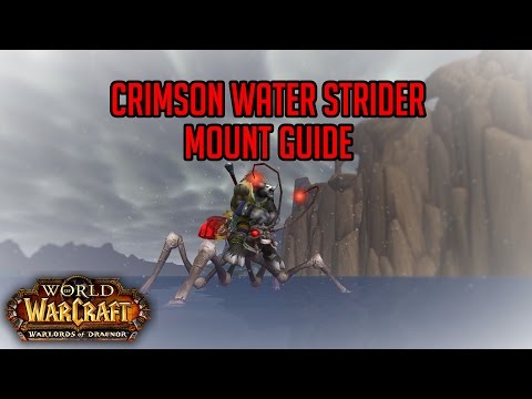 Crimson Water Strider Mount Guide