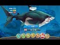 Hungry Shark World NEW Great White Shark Unlocked Best Android Gameplay 2020