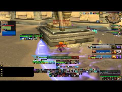 BM Hunter Arena Guide (MoP/5.1.0)