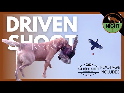 Driven Shoot | Pheasant Hunt | Shelton Abbey 2021