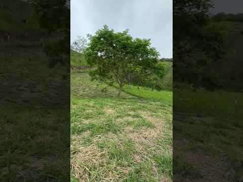 Invierte en tu Lote cerca al milagroso de Buga, Valle