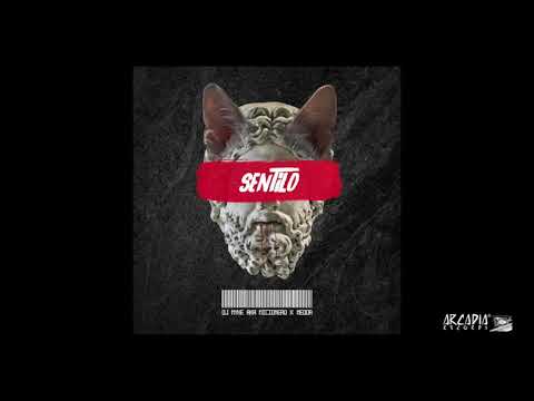djMyke aka Micionero x Medda  - SENTILO (official audio)