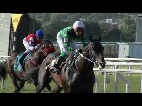 230129 c07 NINE ELEVEN (BRZ)