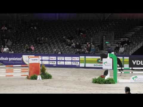 Kardinaal HX (Don Diablo HX x Karandasj 2015) KWPN Stallion show 2020