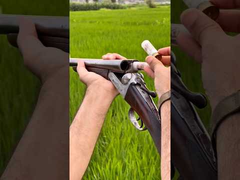 Old Double-Barrel shotgun — Close Rnage Miss #review #sports #gun #shorts