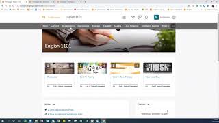 SSC D2L Brightspace Demo