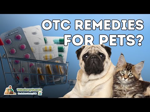 YouTube video about: Can you buy dog antibiotics over the counter?