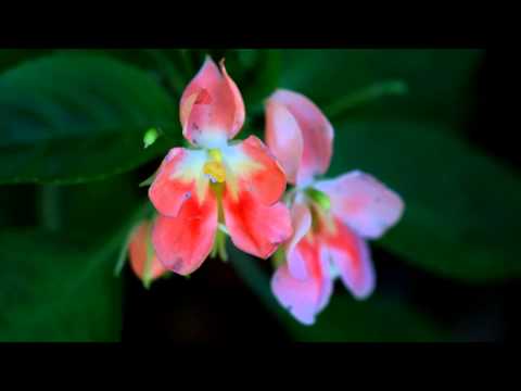 A Smile or a Frown: Your choice.