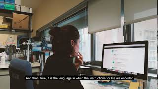 Trailer – Postdoctoral Researchers – IDIBAPS Barcelona (whole story on November 27th)