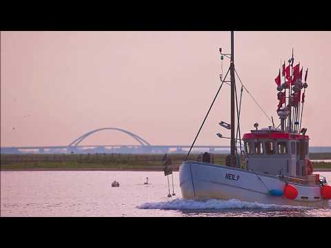 Shanty Chor Heiligenhafen  -   A Long Time Ago