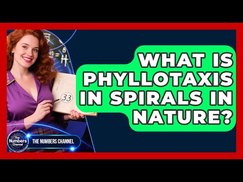 What Is Phyllotaxis In Spirals In Nature? - The Numbers Channel