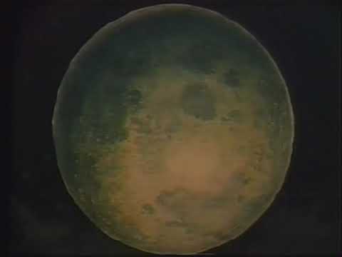 Sailor Moon Episode 192 - Fighting Scene with Moon, Venus and Star Healer (German dub)