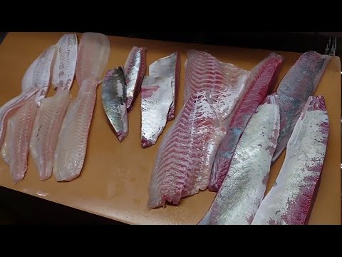 Enjoy Fish Filleting Skills