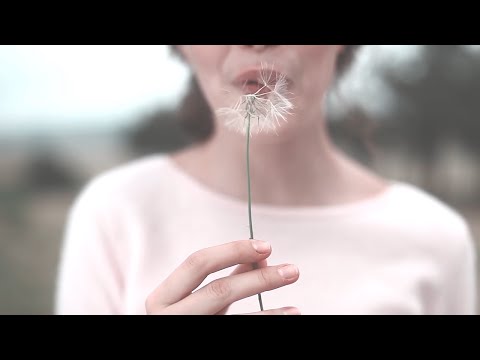 Colour video