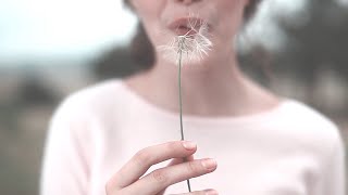 Wild Cub - &quot;Colour&quot; (Lyric Video)