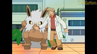 Shiftry attacks Professor Oak | Pokemon quiz