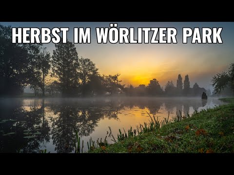 Herbst im Wörlitzer Park - Urbanes Wildlife - Nebel - Vogelfotografie - Herbststimmung - Herbst