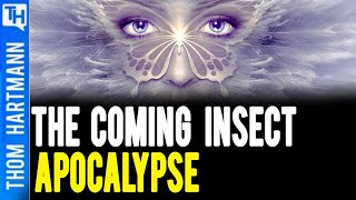 Will Our World Come to An End w/No Insects?