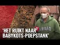 Notenboom zorgt voor stank in West