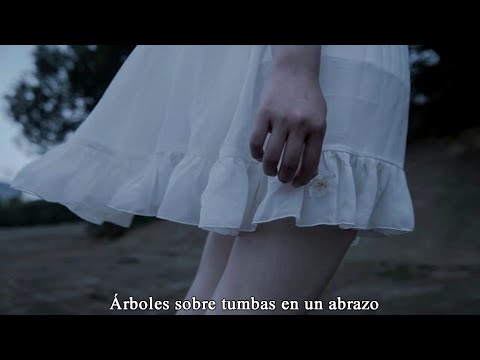 You And The Others video
