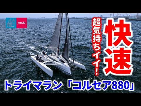 子馬 (トリマラン) - 定義