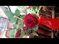 Flower ringtone World best ringtone N Flower ringtone World best ringtone N