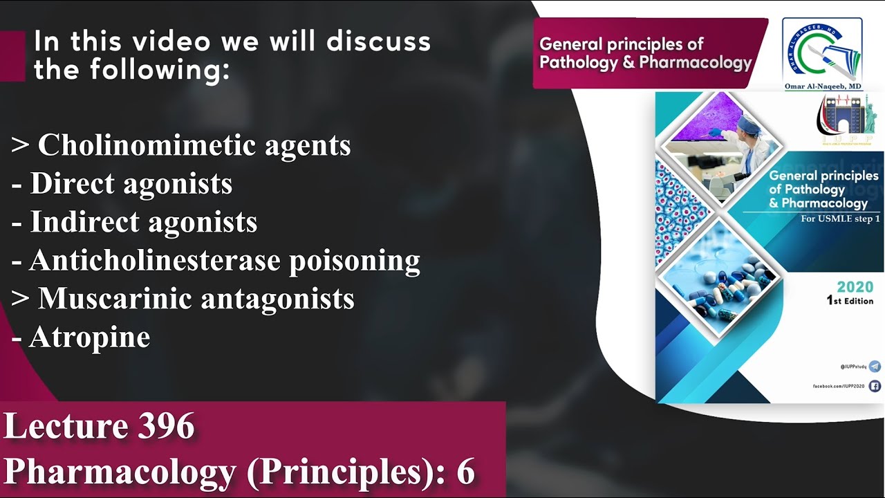 Cholinomimetic agents | Anticholinesterase poisoning | Muscarinic antagonists | Atropine