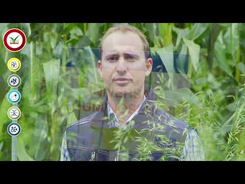 Saaten-Union: viterra® SCHNELLGRÜN LEGUMINOSENFREI, Vertriebsberater Daniel Freitag (S-H und M-V)