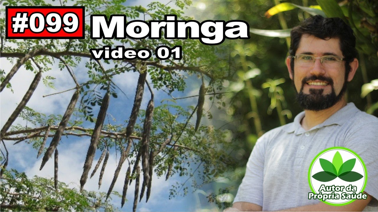 Autor da Própria Saúde - Moringa_parte 01 [hipertensão, emagrecimento, úlcera, antibiótico]