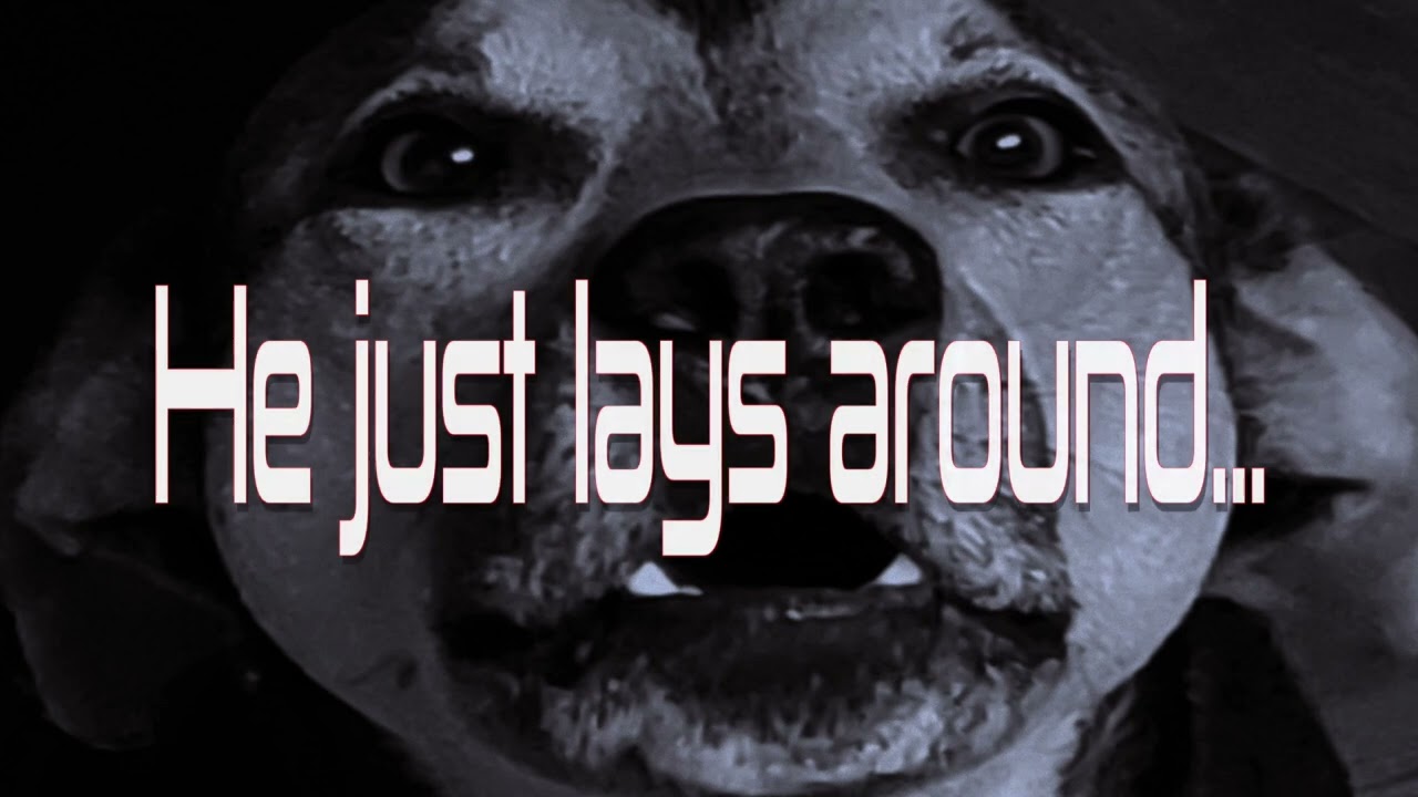 Promotional video thumbnail 5 for t.Roy & The Smoking Section