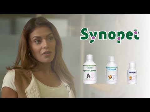 Synopet für Pferde, Hunde, Katzen | RTL TV