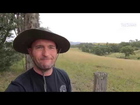 Rural Plein Air Painting