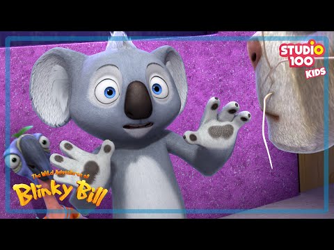 ROMANCE - THE WILD ADVENTURES OF BLINKY BILL 🐨- Studio100 KIDS ☺️😁