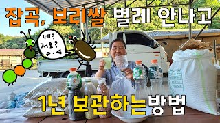 보리쌀 잡곡 벌레 안나게 1년 보관방법은? 플라스틱통만 있으면 됩니다. 겉보리 쌀보리 보리쌀 판매