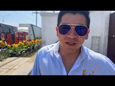 ANIVERSARIO Amuissa Super Sonora Acollina Local: Villa Alamor Santa Clara Lima ChechitaProducciónes